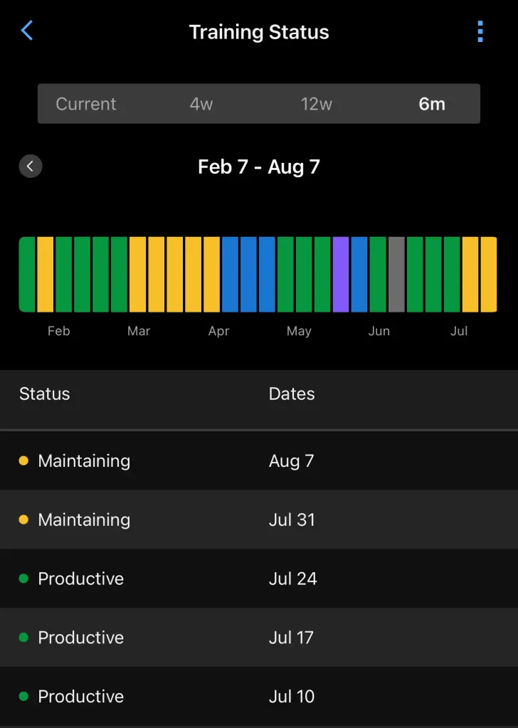 Garmin training status in app